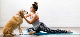 Young woman stretching on mat with dog nearby